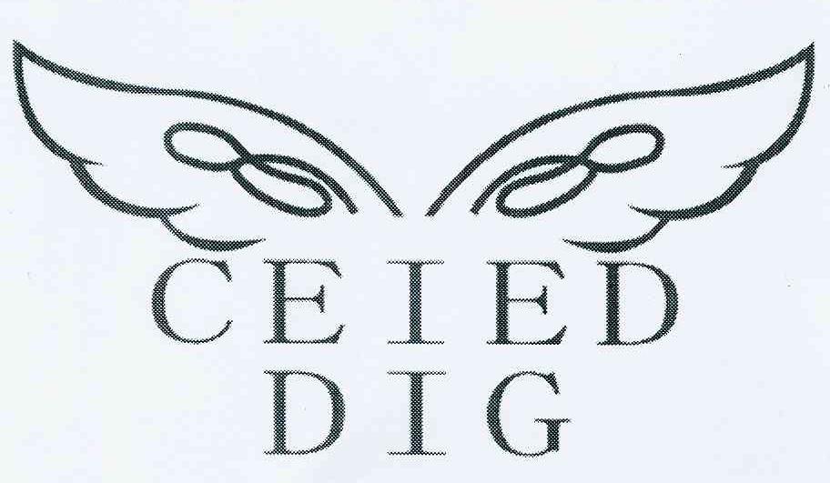 商标名称CEIED DIG商标注册号 10485349、商标申请人叶加光的商标详情 - 标库网商标查询