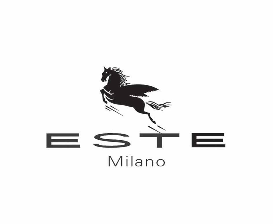 商标名称ESTE MILANO商标注册号 10769051、商标申请人丽水市融信投资咨询有限公司的商标详情 - 标库网商标查询