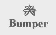 商标名称BUMPER商标注册号 1234785、商标申请人伊美胸围内衣厂有限公司的商标详情 - 标库网商标查询