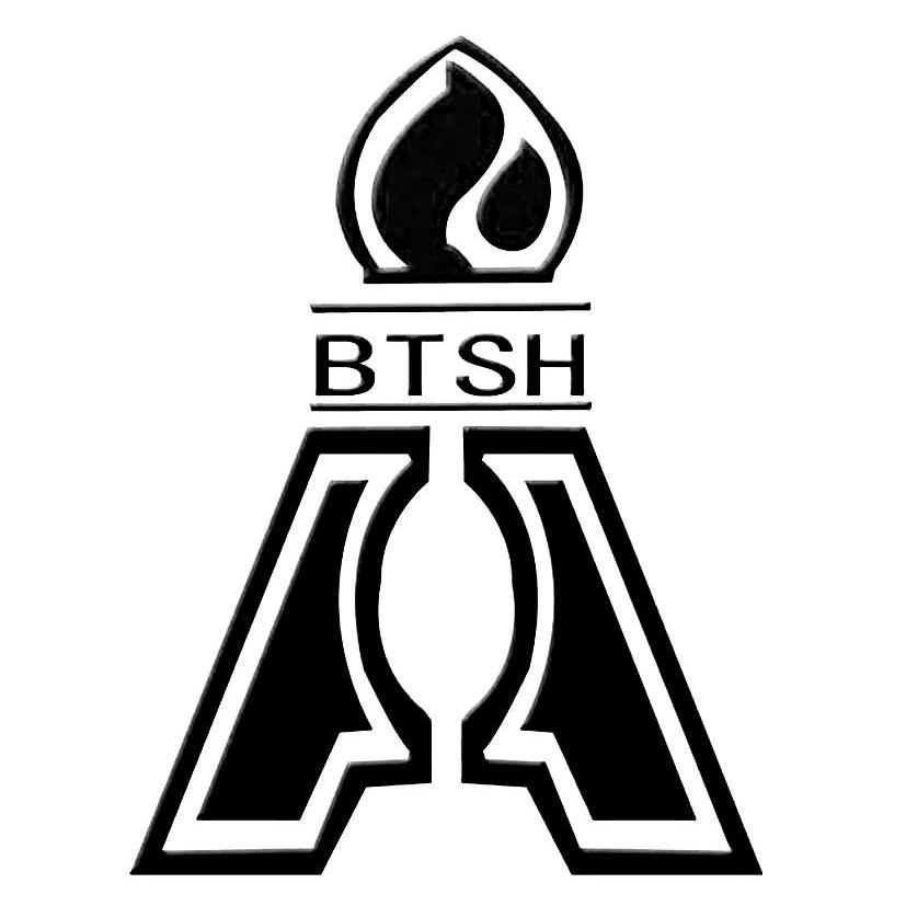 商标名称BTSH商标注册号 12893465、商标申请人宝塔石化集团有限公司的商标详情 - 标库网商标查询