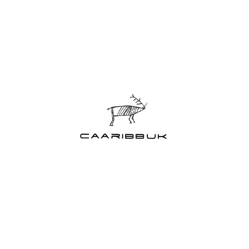 商标名称CAARIBBUK商标注册号 12750636、商标申请人义乌市百纳箱包有限公司的商标详情 - 标库网商标查询