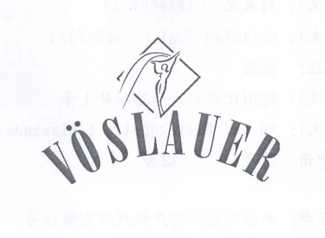 商标名称VOSLAUER商标注册号 12822440、商标申请人付天思的商标详情 - 标库网商标查询
