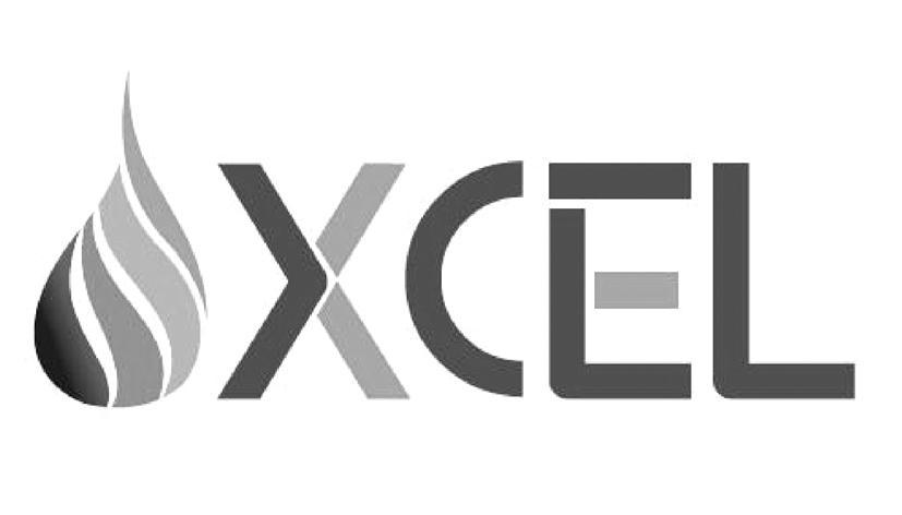 商标名称XCEL商标注册号 11450457、商标申请人亿品（香港）有限公司的商标详情 - 标库网商标查询