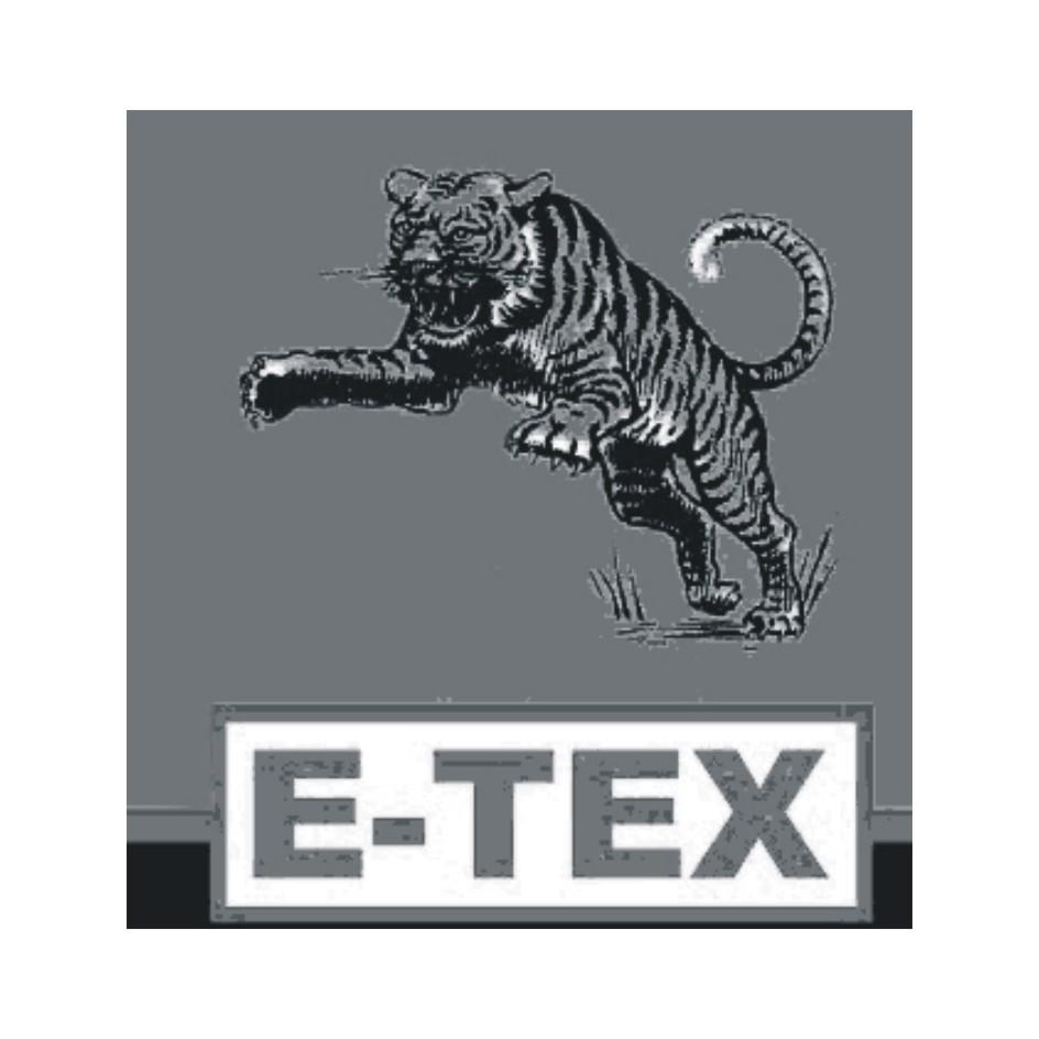 商标名称E-TEX商标注册号 11509944、商标申请人浙江荣禾新材料股份有限公司的商标详情 - 标库网商标查询