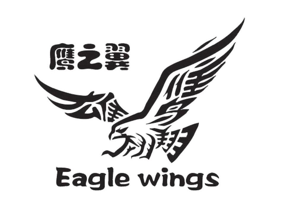 商标名称鹰之翼 EAGLE WINGS商标注册号 10416939、商标申请人滨州市宏信电子科技有限公司的商标详情 - 标库网商标查询