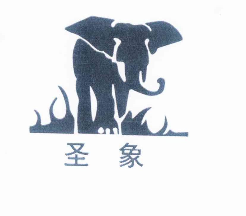 商标名称圣象商标注册号 10415938、商标申请人圣象集团有限公司的商标详情 - 标库网商标查询