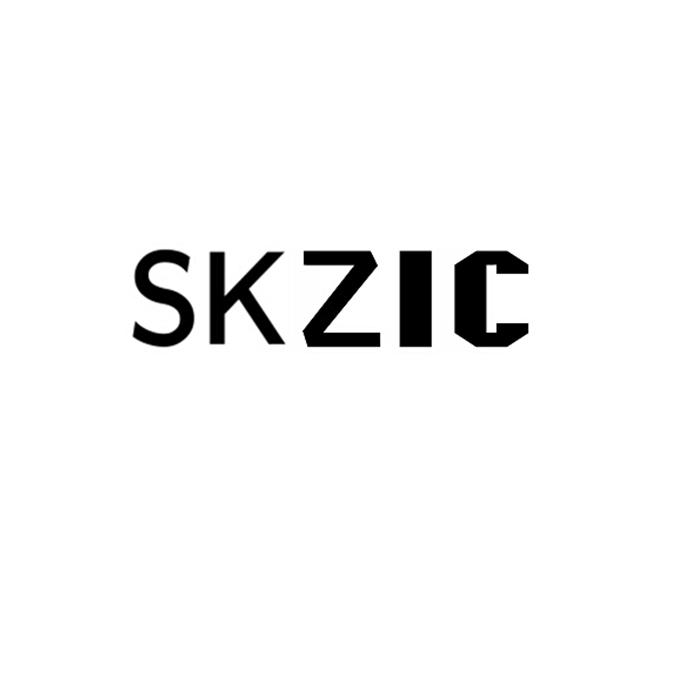 商标文字skzic商标注册号 18589335,商标申请人天津市龙发泰商贸有限