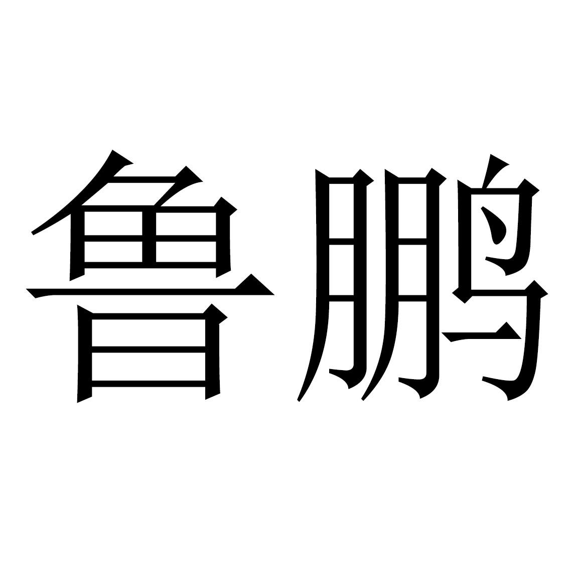 商标文字鲁鹏商标注册号 54400596,商标申请人山东鲁鹏化工有限公司的