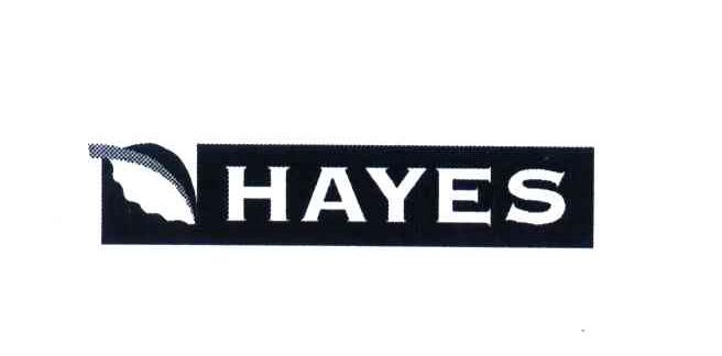 商标名称HAYES商标注册号 4080683、商标申请人海斯国际有限公司的商标详情 - 标库网商标查询