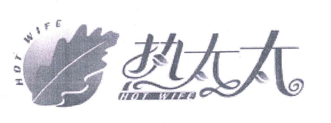 商标名称热太太 HOT WIFE商标注册号 5758334、商标申请人天津市宝帝洁清洁技术有限公司的商标详情 - 标库网商标查询