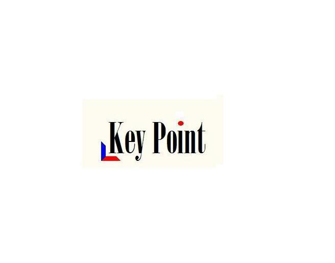 商标名称KEY POINT商标注册号 13175662、商标申请人上海关点质量检测技术服务有限公司的商标详情 - 标库网商标查询