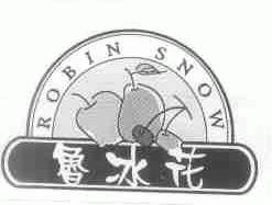 商标名称鲁冰花;ROBIN SNOW商标注册号 1484355、商标申请人营口鲁冰花集团有限公司的商标详情 - 标库网商标查询