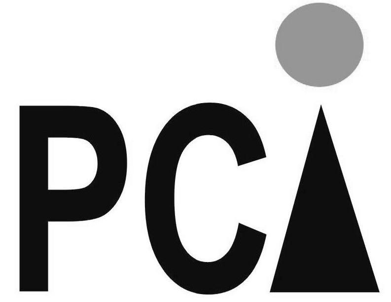 商标名称PCI商标注册号 10194686、商标申请人上海普群企业管理有限公司的商标详情 - 标库网商标查询