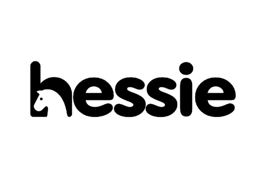 商标名称HESSIE商标注册号 12079213、商标申请人杭州环宇集团有限公司的商标详情 - 标库网商标查询