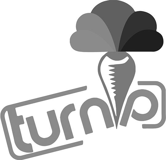 商标名称TURNIP商标注册号 18244137、商标申请人潍坊博达信息科技有限公司的商标详情 - 标库网商标查询