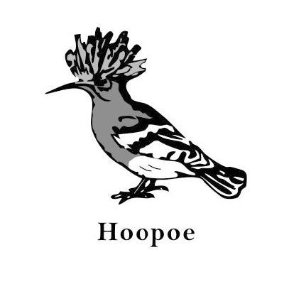 商标名称HOOPOE商标注册号 11449677、商标申请人第一创建投资有限公司的商标详情 - 标库网商标查询