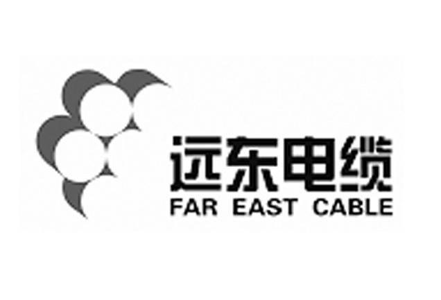 商标名称远东电缆 FAR EAST CABLE商标注册号 10490475、商标申请人远东电缆有限公司的商标详情 - 标库网商标查询