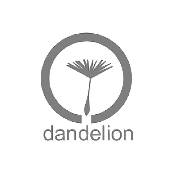 商标名称DANDELION商标注册号 11534784、商标申请人深圳索尔德信息技术有限公司的商标详情 - 标库网商标查询