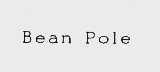 商标名称BEAN POLE商标注册号 1003122、商标申请人三星物产株式会社的商标详情 - 标库网商标查询