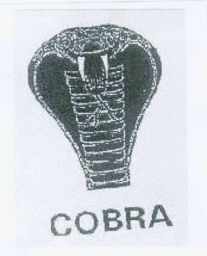 商标名称COBRA商标注册号 10603082、商标申请人黄少鹏的商标详情 - 标库网商标查询