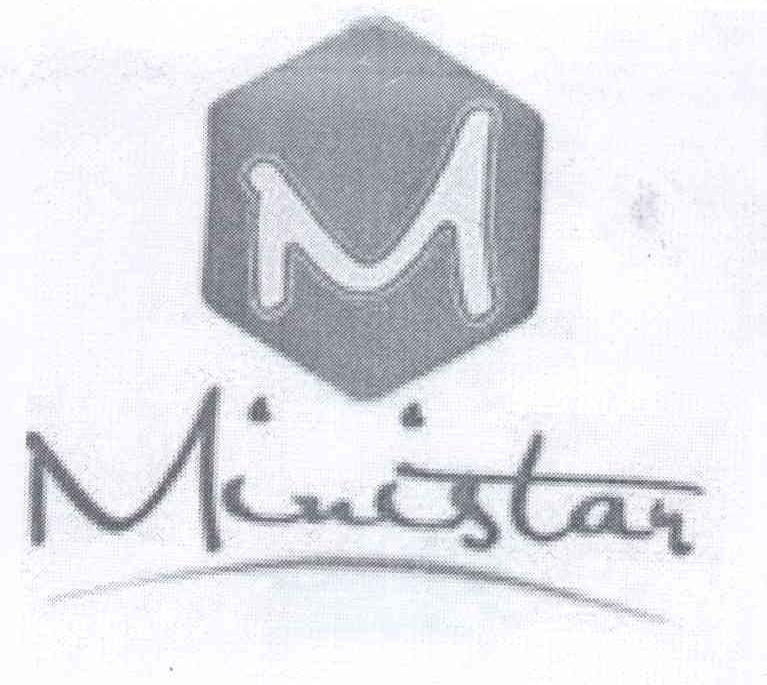 商标名称M MINISTAN商标注册号 13355896、商标申请人孙德胜的商标详情 - 标库网商标查询