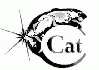 商标名称CAT商标注册号 1441455、商标申请人罗计康股份公司的商标详情 - 标库网商标查询