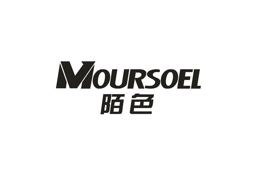 İɫ MOURSOEL