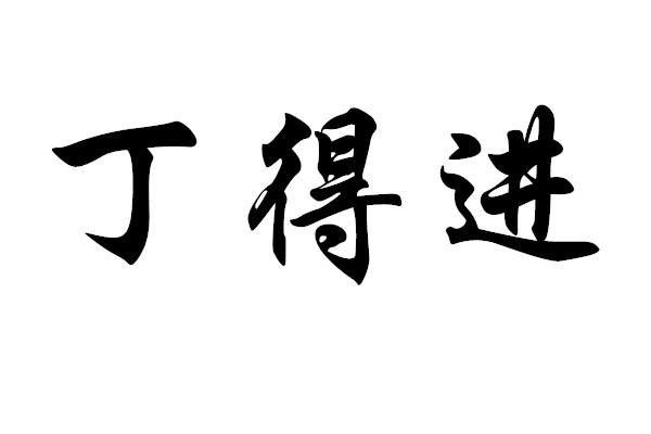 商标文字丁得进商标注册号 46500495,商标申请人吕鹏的商标详情 标