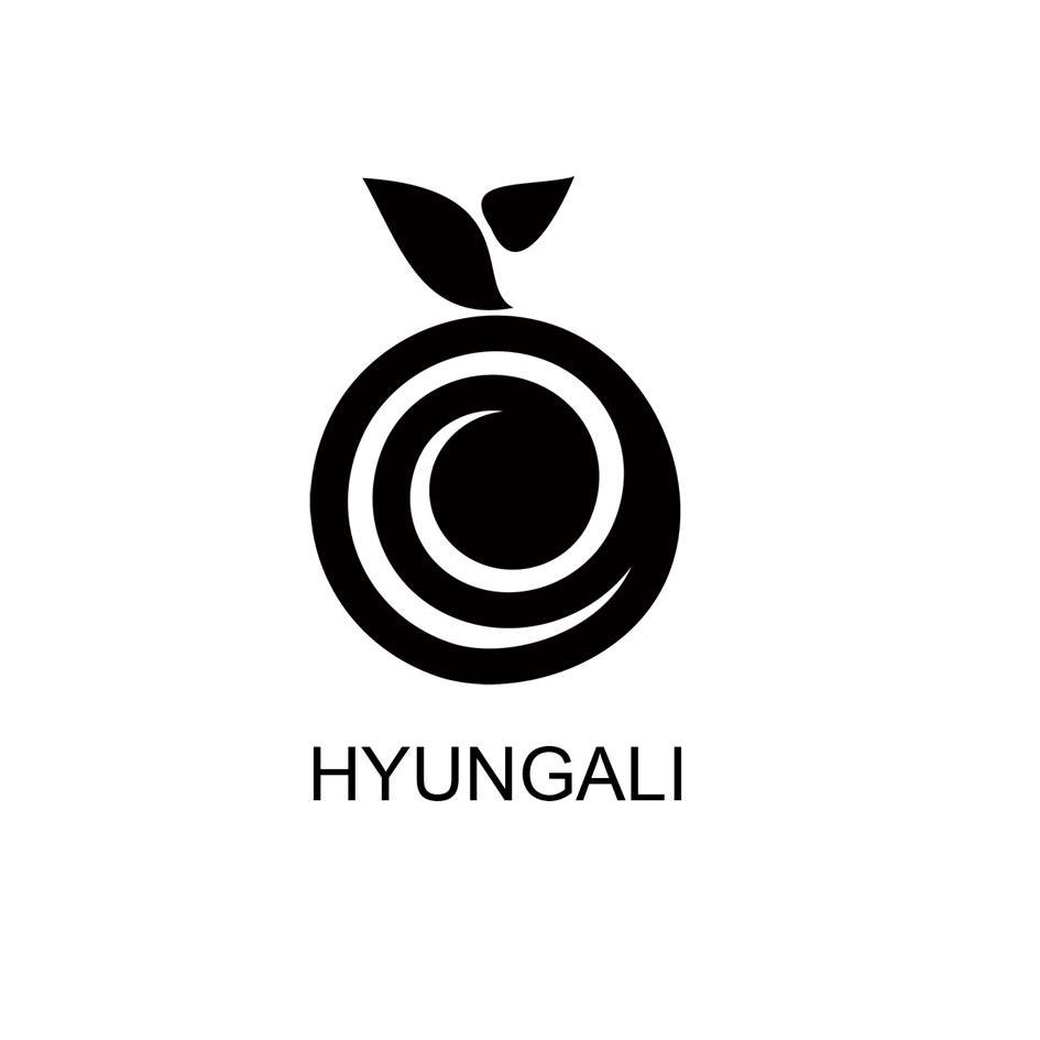 商标名称HYUNGALI商标注册号 11431443、商标申请人深圳市金畅飞电子有限公司的商标详情 - 标库网商标查询