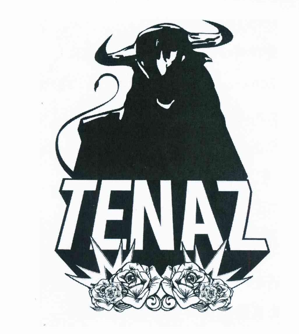 商标名称TENAZ商标注册号 11513188、商标申请人爱德华多·谢尔曼·马西亚斯 护照号:G的商标详情 - 标库网商标查询