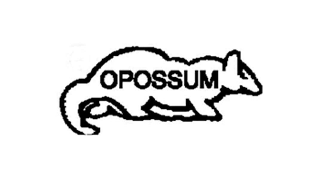 商标名称OPOSSUM商标注册号 7506722、商标申请人铜陵市新泰电容电器有限责任公司的商标详情 - 标库网商标查询