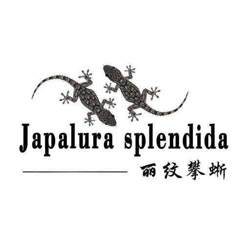 商标名称JAPALURA SPLENDIDA 丽蚊攀蜥商标注册号 13256093、商标申请人纵横天宇国际有限公司的商标详情 - 标库网商标查询