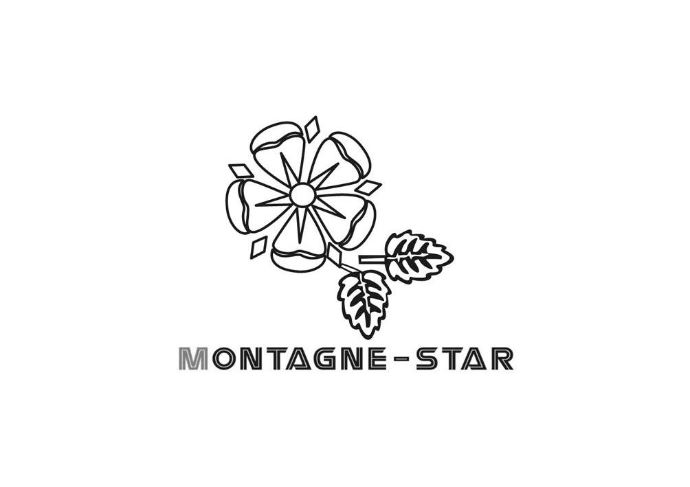 商标名称MONTAGNE-STAR商标注册号 10403212、商标申请人扬州市索优进出口有限公司的商标详情 - 标库网商标查询