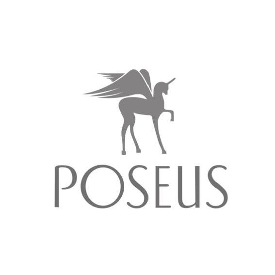 商标名称POSEUS商标注册号 10407266、商标申请人上海首易文化传播有限公司的商标详情 - 标库网商标查询