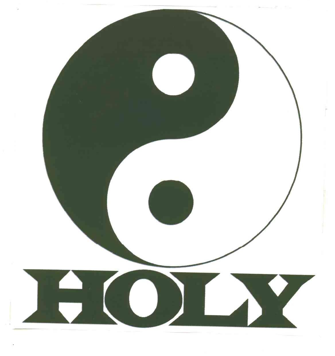 商标名称HOLY商标注册号 4482907、商标申请人北京大宇合力科技有限责任公司的商标详情 - 标库网商标查询