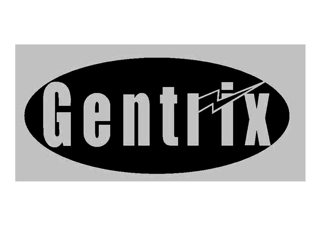 商标名称GENTRIX商标注册号 11125414、商标申请人杭州鸿世电器股份有限公司的商标详情 - 标库网商标查询