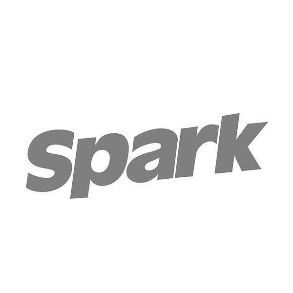 商标名称SPARK商标注册号 18232997、商标申请人南京敖广国际经贸集团有限公司的商标详情 - 标库网商标查询