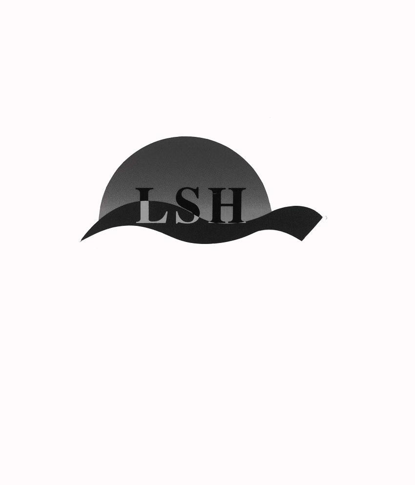 商标名称LSH商标注册号 11424178、商标申请人威海磊升建材科技有限公司的商标详情 - 标库网商标查询