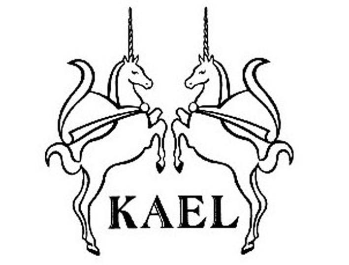 商标名称KEAL商标注册号 10996635、商标申请人意大利凯尔玛帝尼时装有限公司的商标详情 - 标库网商标查询