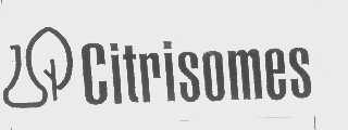 商标名称CITRISOMES商标注册号 1174146、商标申请人娜丝金国际有限公司的商标详情 - 标库网商标查询