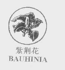 商标名称紫荆花   BAUHINIA商标注册号 1265287、商标申请人广州小郎中健康产品有限公司的商标详情 - 标库网商标查询