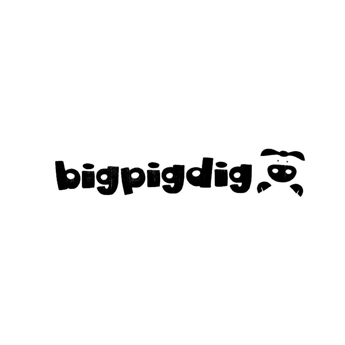 商标名称BIGPIGDIG商标注册号 10017687、商标申请人广州泽希贸易有限公司的商标详情 - 标库网商标查询