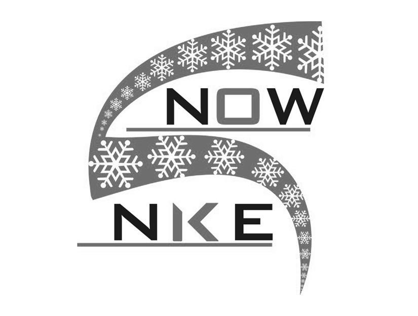 商标名称NOW NKE商标注册号 9210082、商标申请人重庆市爱思诺制冷设备有限公司的商标详情 - 标库网商标查询