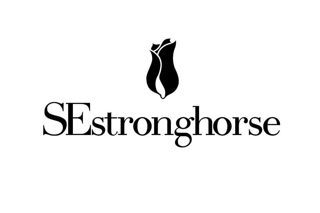 商标名称SESTRONGHORSE商标注册号 10083508、商标申请人广州艾时依服装有限公司的商标详情 - 标库网商标查询