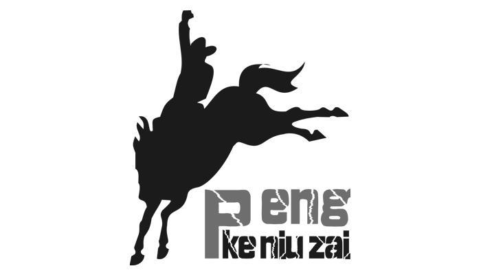 商标名称PENG KE NIU ZAI商标注册号 11330490、商标申请人武汉云鹤大鲨鱼体育用品有限公司的商标详情 - 标库网商标查询