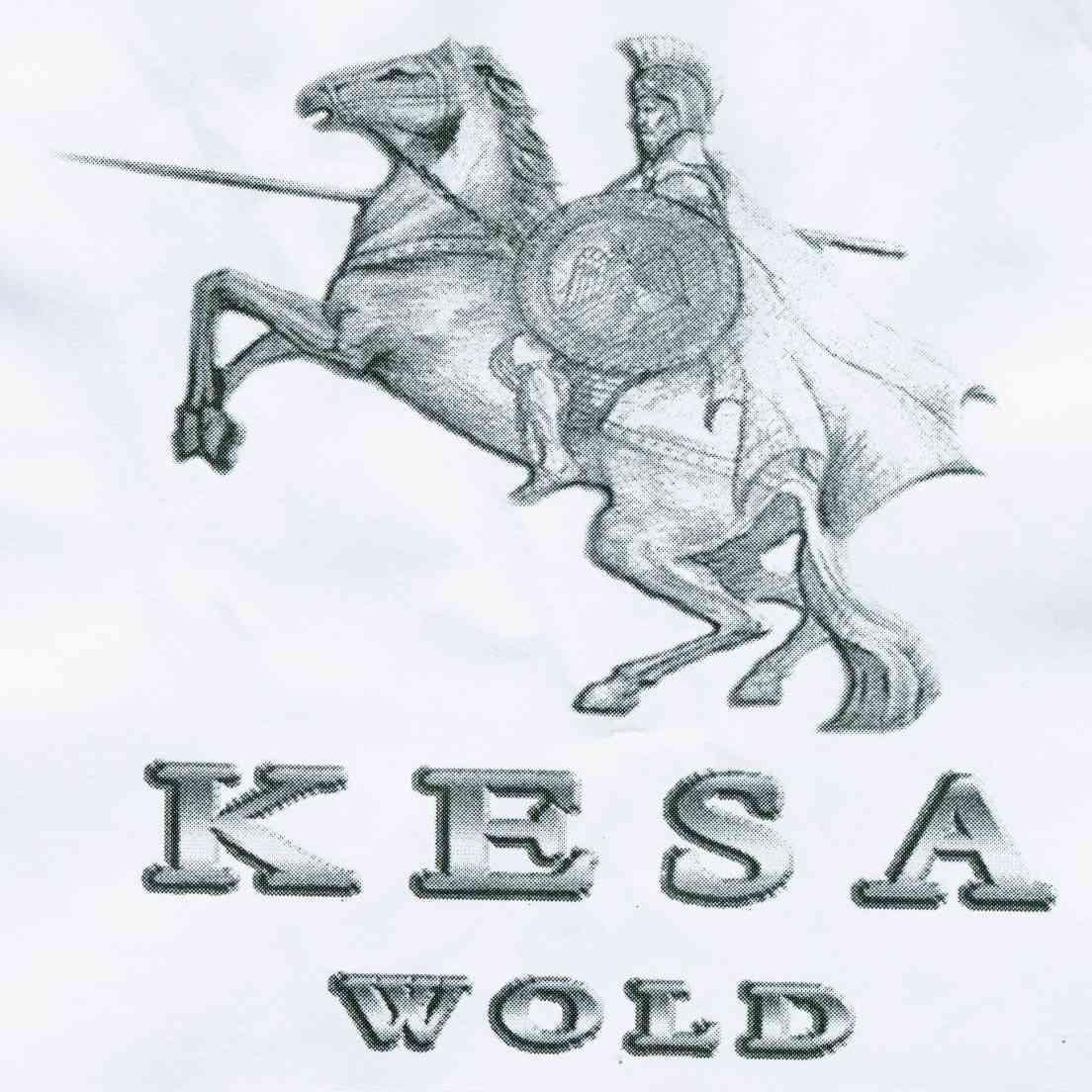 商标名称KESA WOLD商标注册号 10244228、商标申请人深圳市恺撒世纪表业有限公司的商标详情 - 标库网商标查询