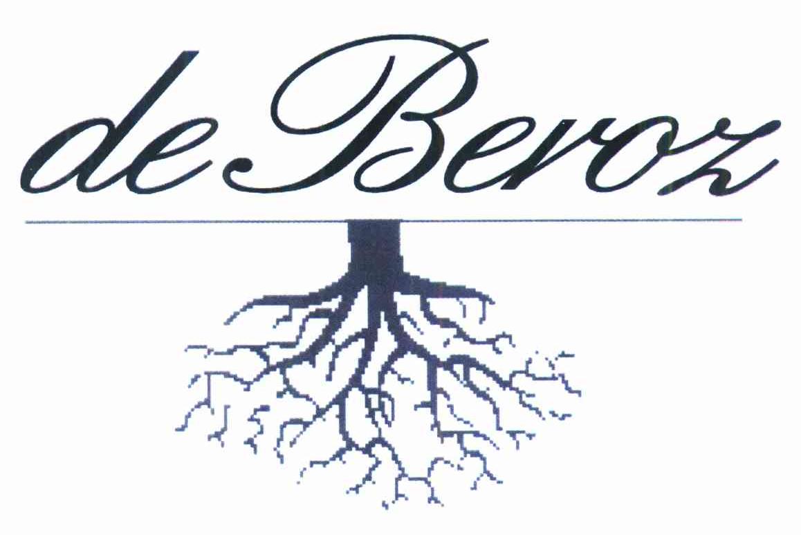 商标名称DE BEROZ商标注册号 10099973、商标申请人德·佩洛茨有限公司的商标详情 - 标库网商标查询