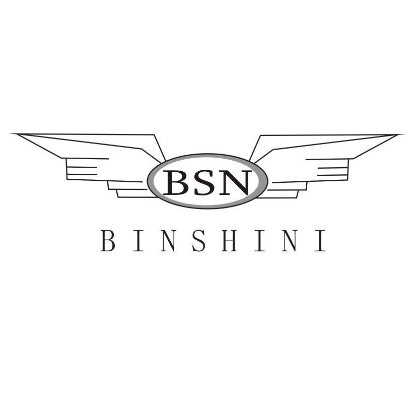 商标名称BSN BINSHINI商标注册号 11573567、商标申请人广州帝狮贸易有限公司的商标详情 - 标库网商标查询