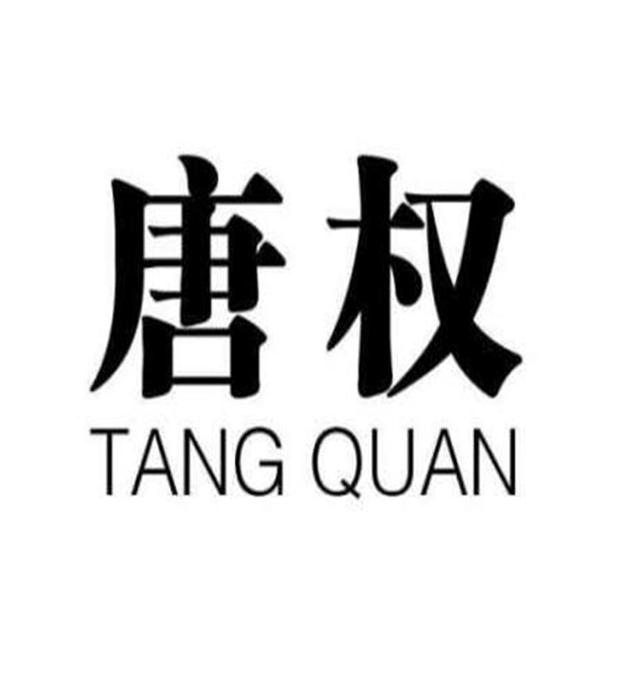 商标文字唐权商标注册号 56540715,商标申请人北京市大唐盛兴科技发展