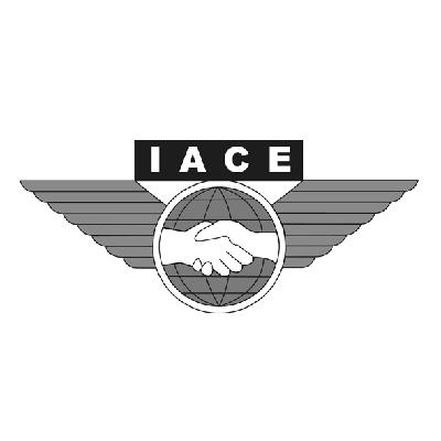 商标名称IACE商标注册号 14825851、商标申请人山东航空产业协会的商标详情 - 标库网商标查询
